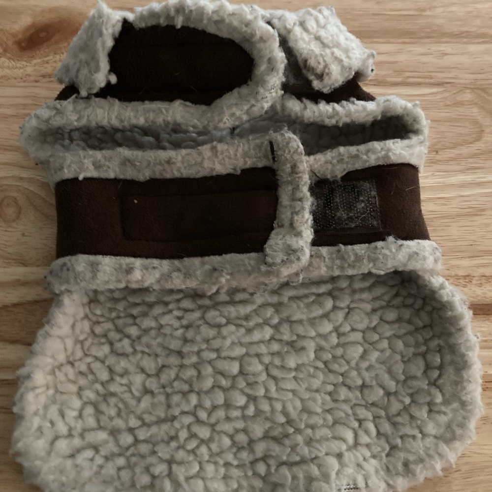 Shearling Jacket - Picture 2 of 6